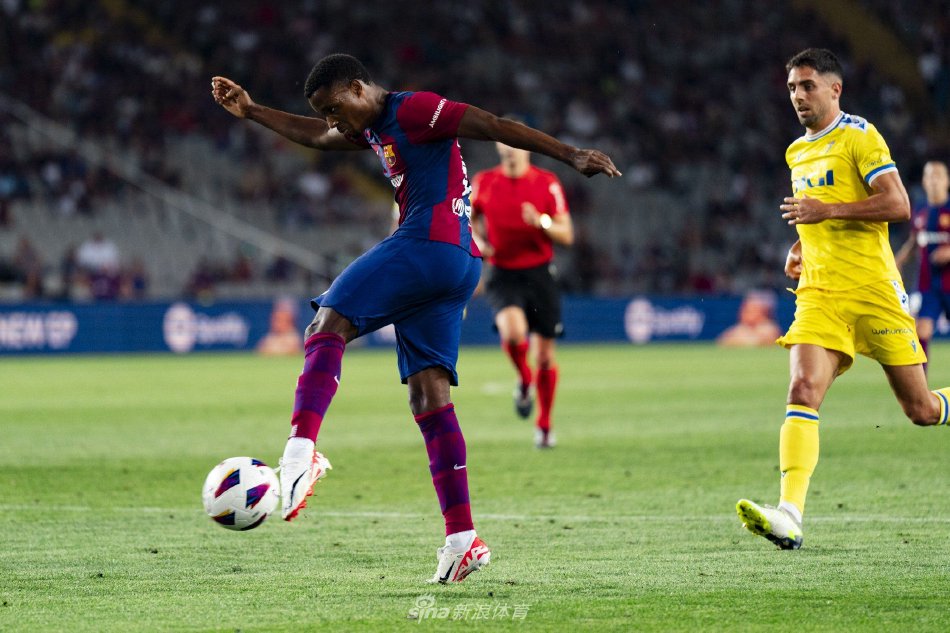 尤其是当涉 尤其是当涉